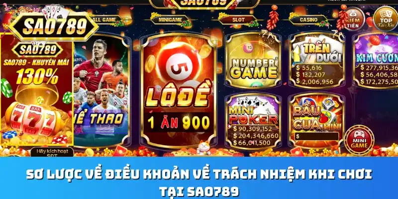 Sơ lược về điều khoản về trách nhiệm khi chơi tại Sao789