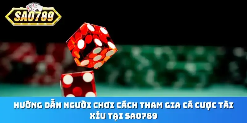 Hướng dẫn người chơi cách tham gia cá cược tài xỉu tại Sao789